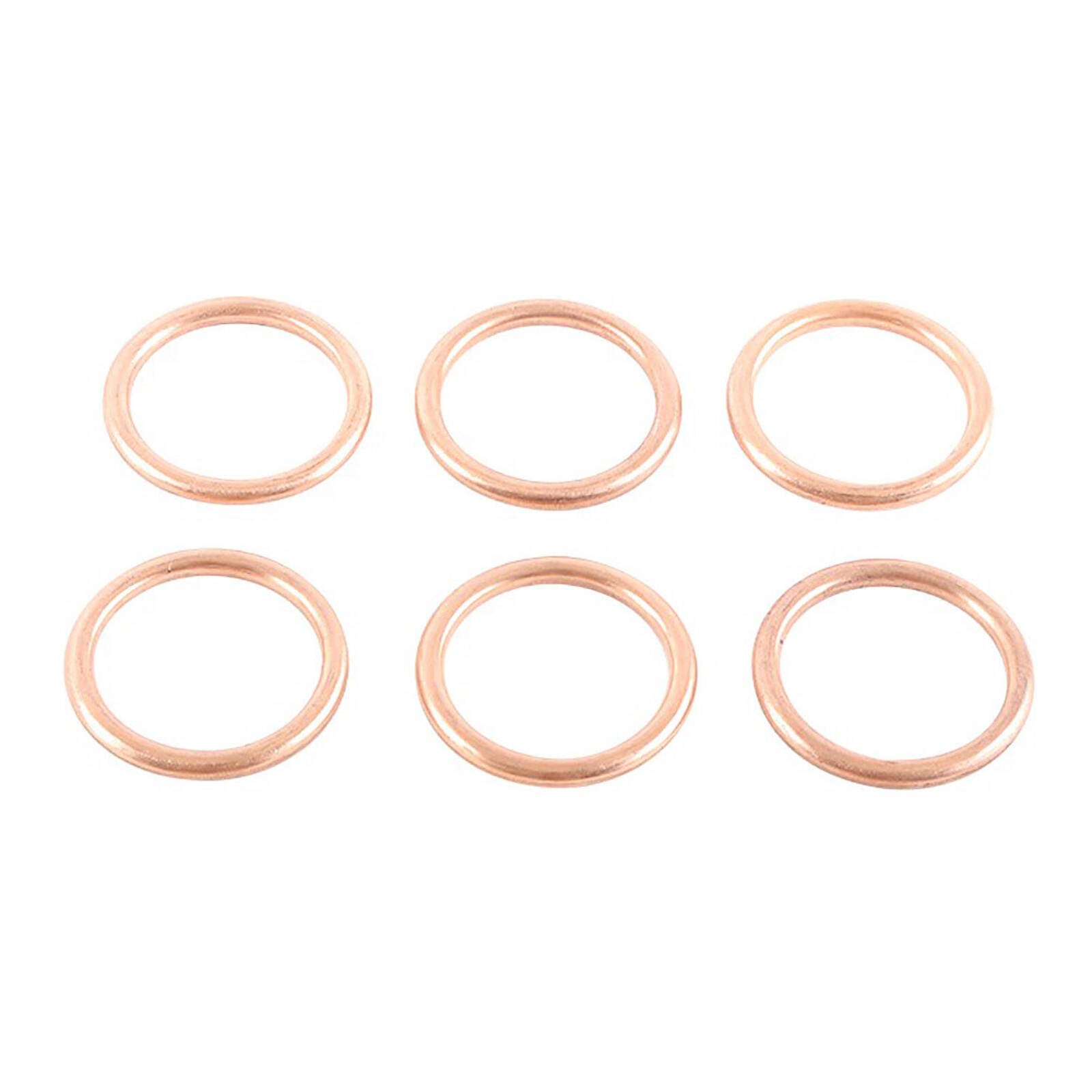 Exhaust Gasket Kit 823013