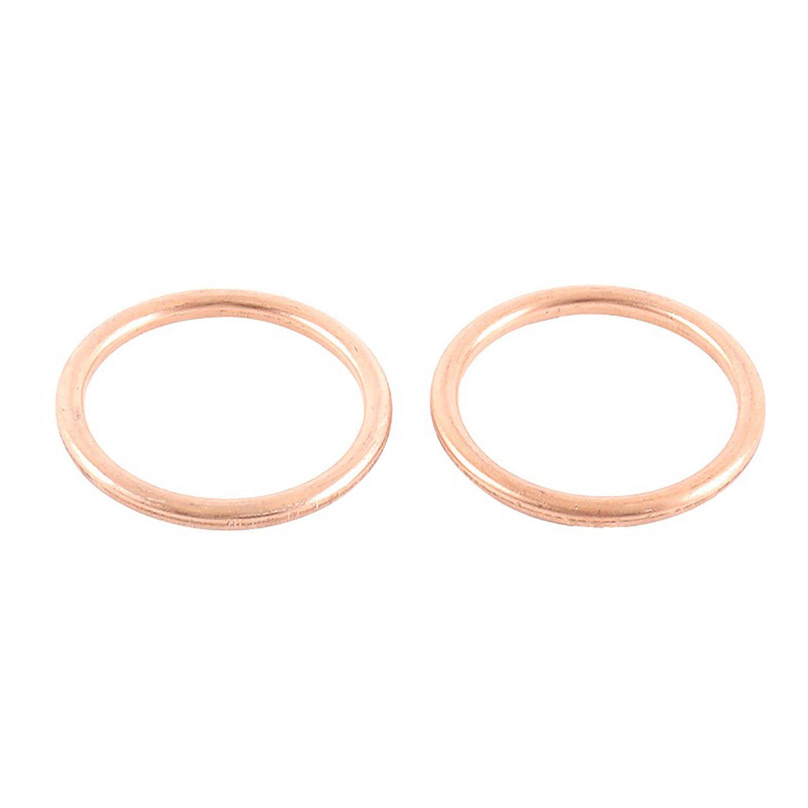 Exhaust Gasket Kit 823018