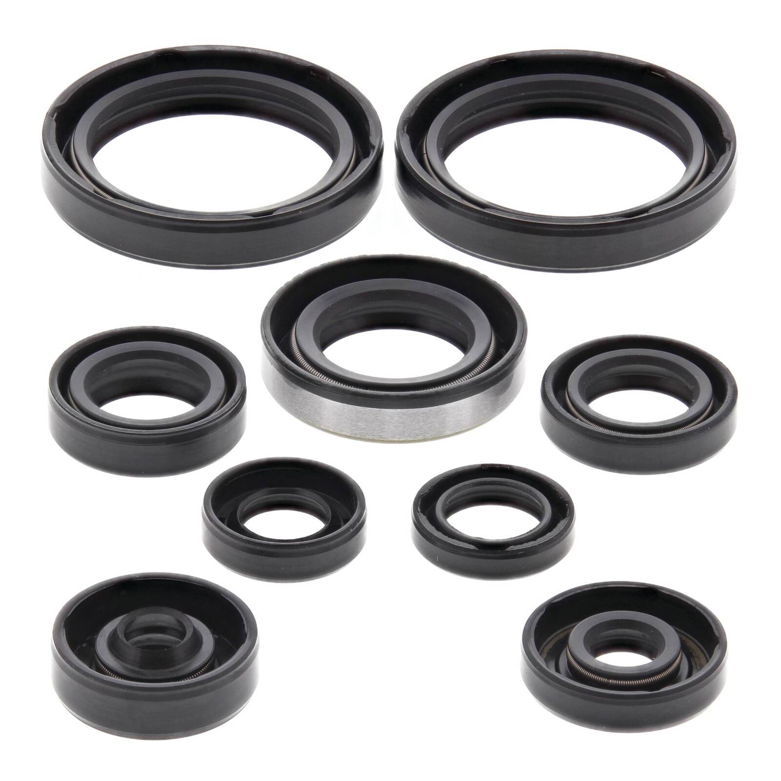 Oil Seal Kit 822316